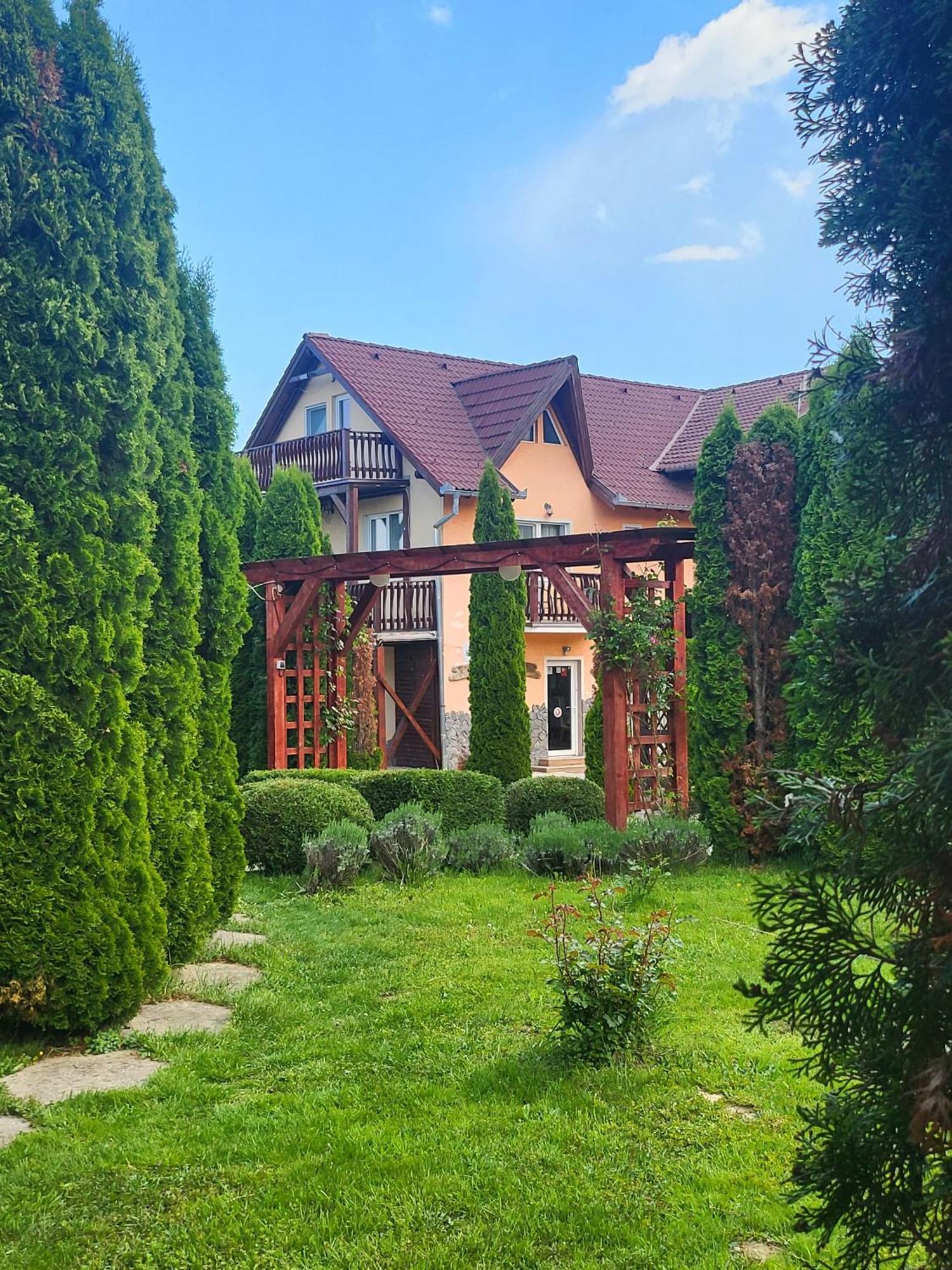 Pensiunea Mountain King Sîmbăta de Sus Екстериор снимка