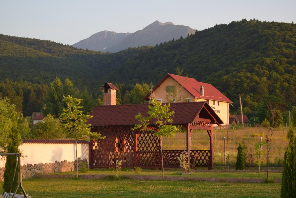Pensiunea Mountain King Sîmbăta de Sus Екстериор снимка