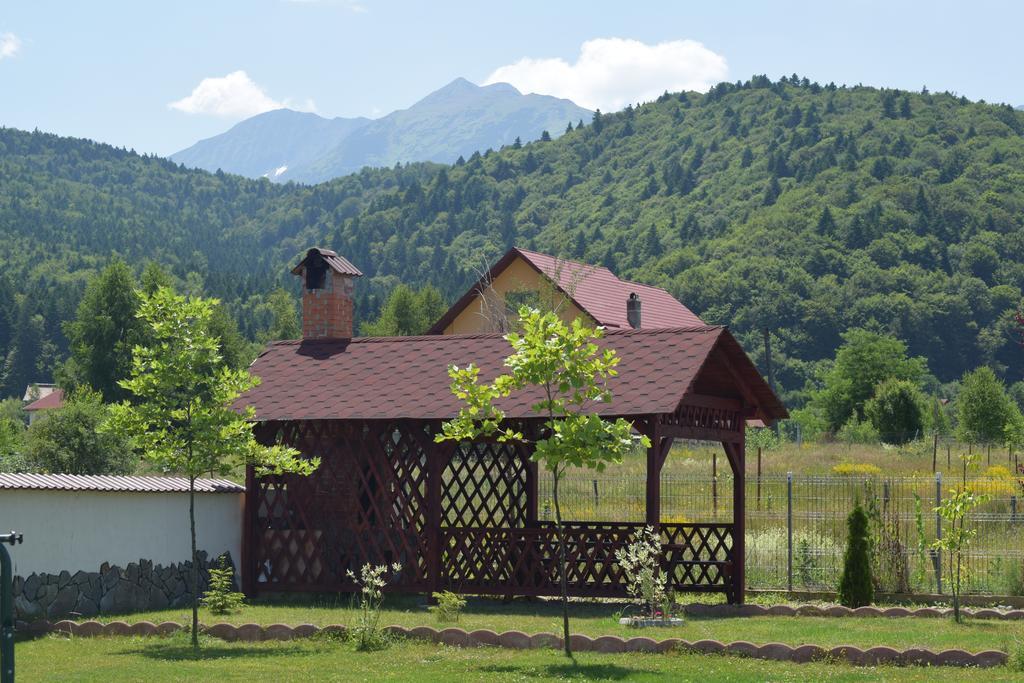 Pensiunea Mountain King Sîmbăta de Sus Екстериор снимка
