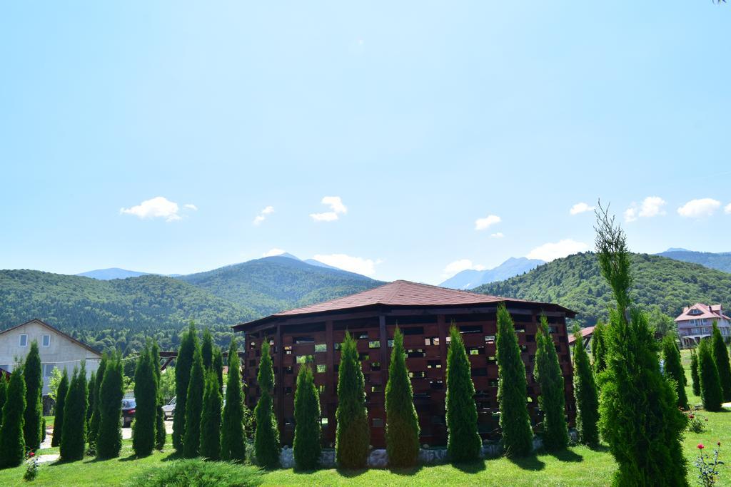 Pensiunea Mountain King Sîmbăta de Sus Екстериор снимка