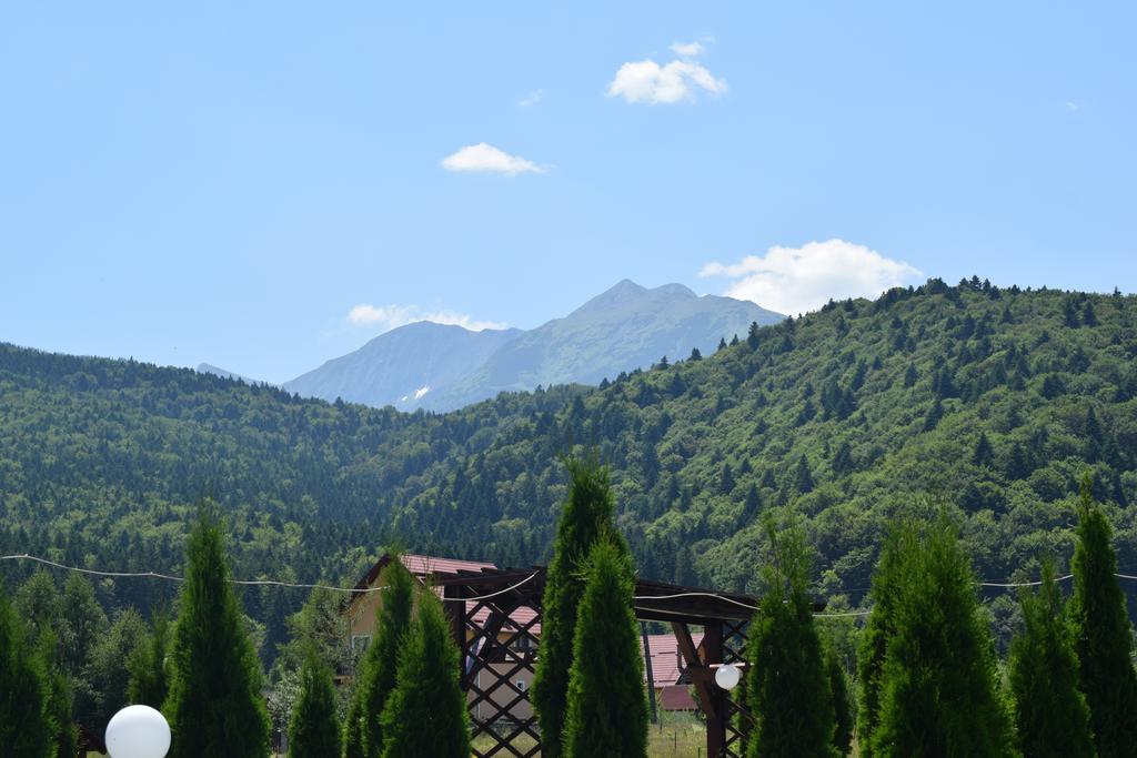Pensiunea Mountain King Sîmbăta de Sus Екстериор снимка