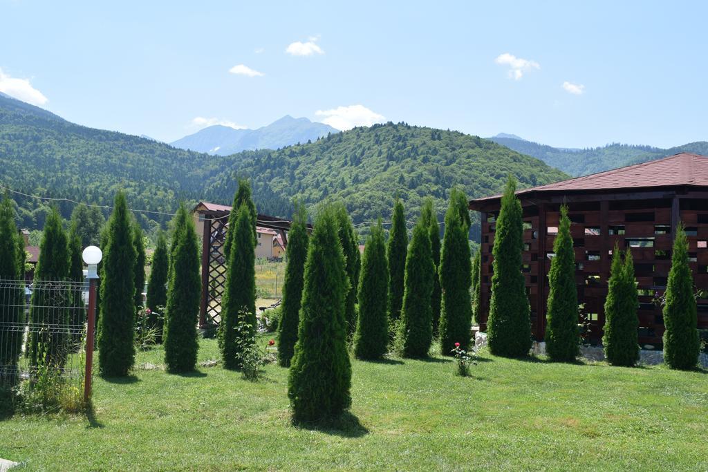 Pensiunea Mountain King Sîmbăta de Sus Екстериор снимка