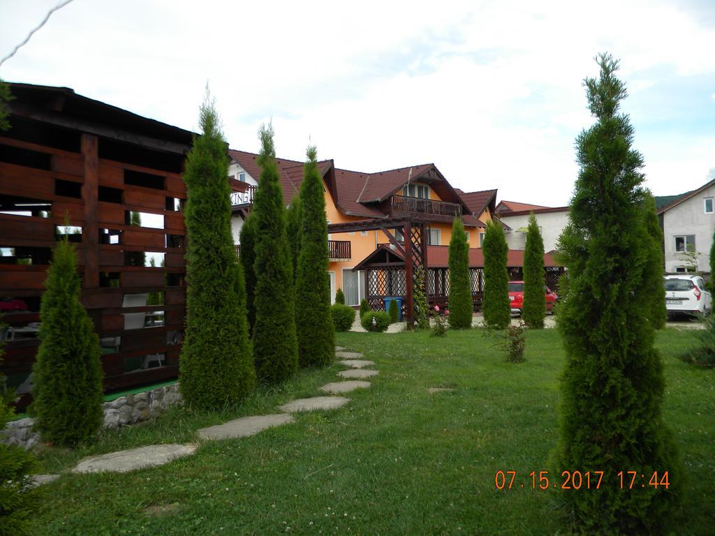 Pensiunea Mountain King Sîmbăta de Sus Екстериор снимка