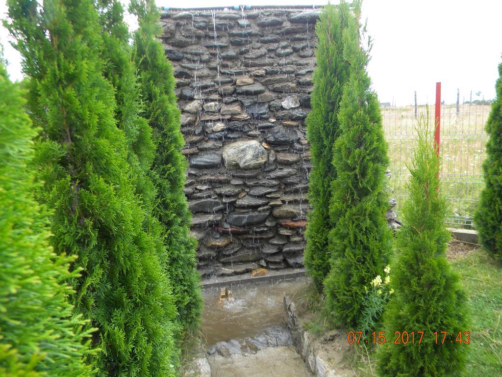 Pensiunea Mountain King Sîmbăta de Sus Екстериор снимка
