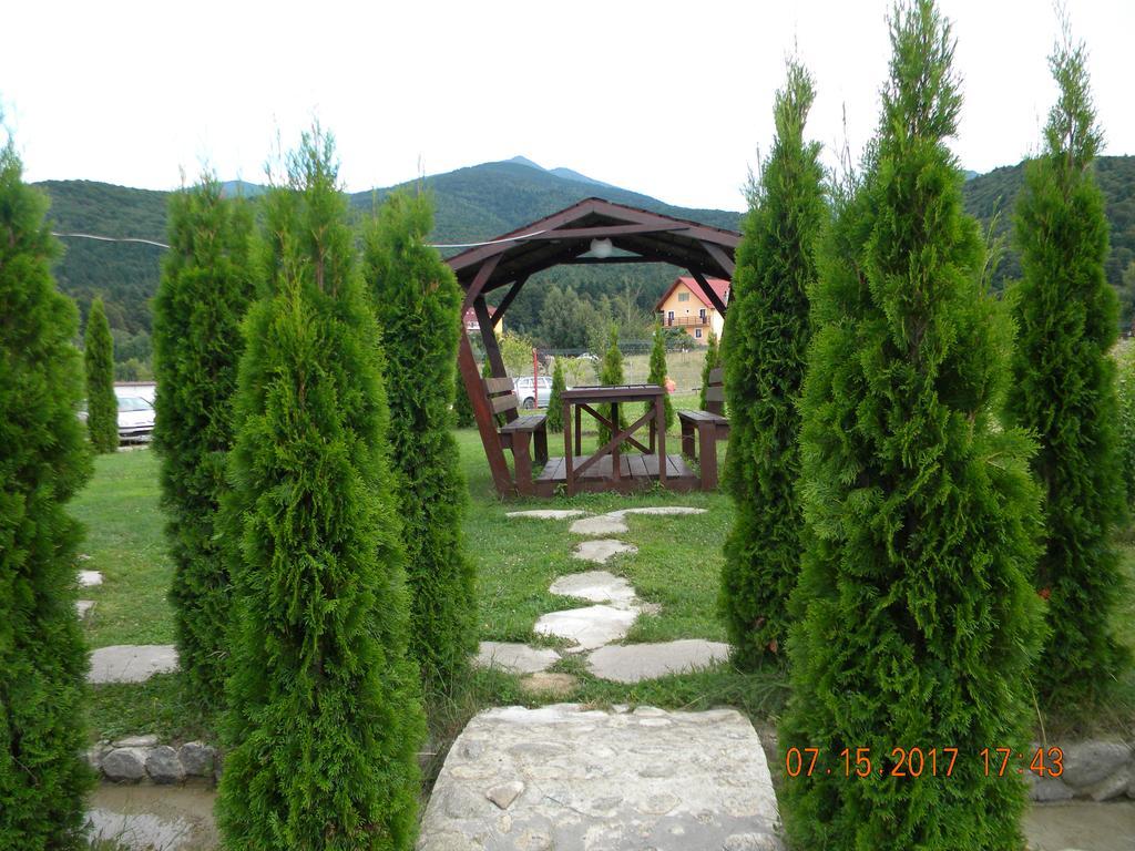 Pensiunea Mountain King Sîmbăta de Sus Екстериор снимка