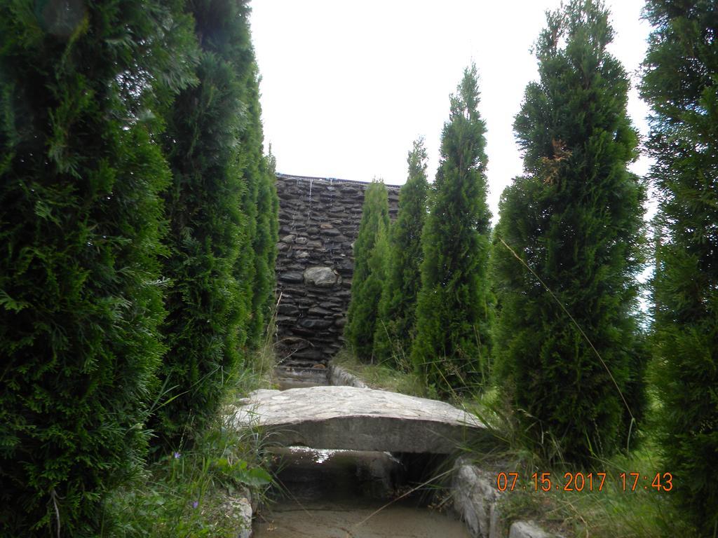 Pensiunea Mountain King Sîmbăta de Sus Екстериор снимка